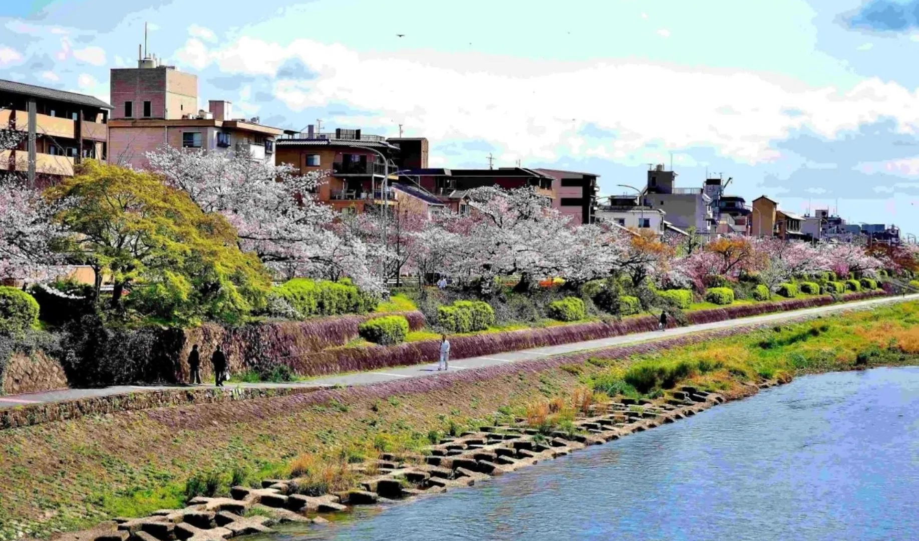 京都駅そばの一棟貸し京町家 Suiten Shichijo 萃点七条 Kyoto